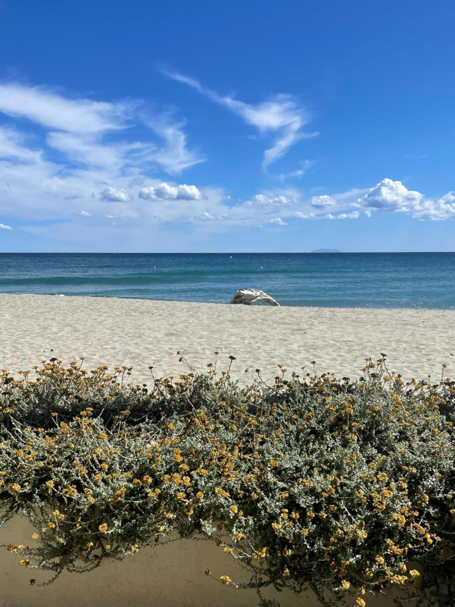 Residence Pascal Paoli Fior Di Mare Moriani-Plage Eksteriør billede
